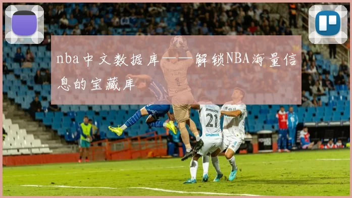 nba中文数据库——解锁NBA海量信息的宝藏库