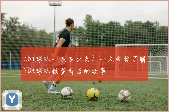 nba球队一共多少支?一文带你了解NBA球队数量背后的故事