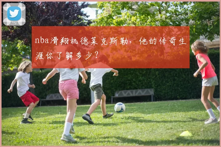nba滑翔机德莱克斯勒，他的传奇生涯你了解多少？