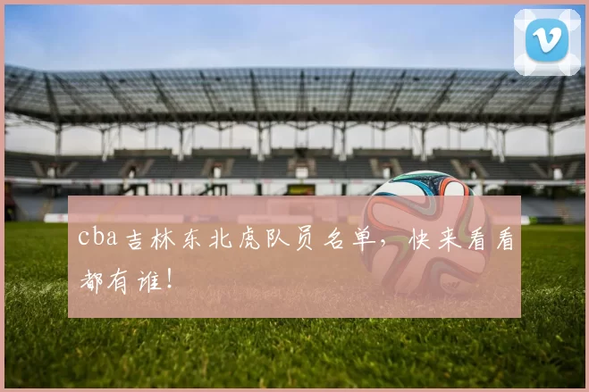 cba吉林东北虎队员名单，快来看看都有谁！