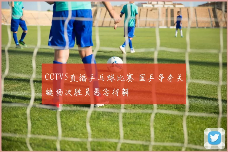 CCTV5直播乒乓球比赛 国乒争夺关键场次胜负悬念待解